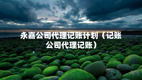 永嘉公司代理記賬計劃（記賬公司代理記賬）