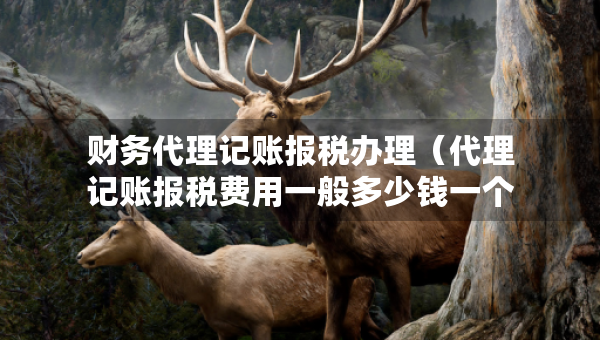 財務(wù)代理記賬報稅辦理（代理記賬報稅費(fèi)用一般多少錢一個月）