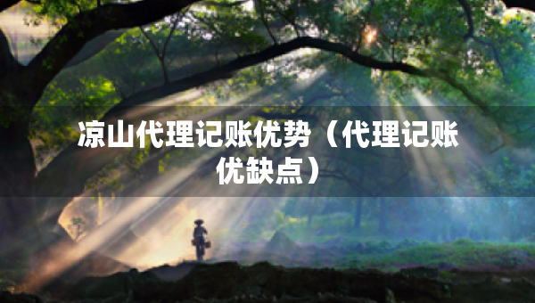 涼山代理記賬優(yōu)勢（代理記賬優(yōu)缺點）