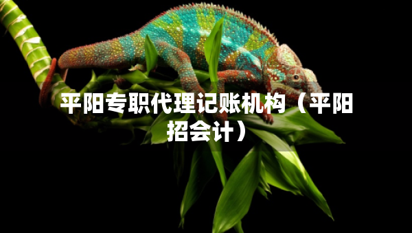 平陽專職代理記賬機(jī)構(gòu)（平陽招會(huì)計(jì)）
