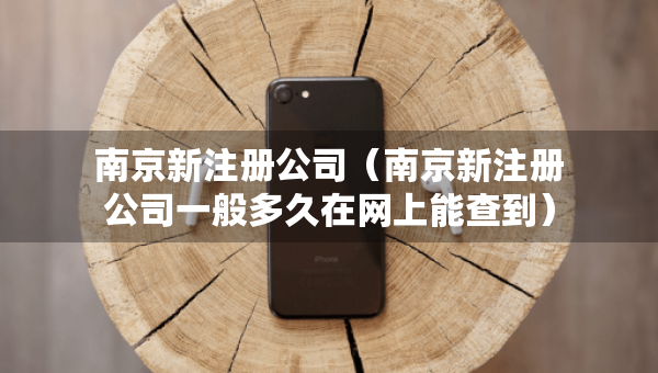 南京新注冊公司（南京新注冊公司一般多久在網(wǎng)上能查到）
