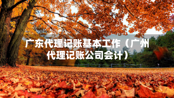 廣東代理記賬基本工作（廣州代理記賬公司會計）