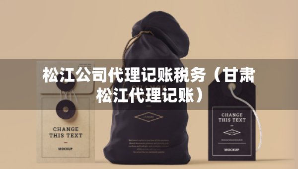 松江公司代理記賬稅務（甘肅松江代理記賬）