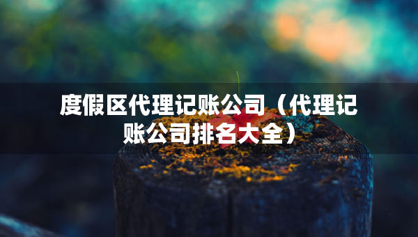 度假區(qū)代理記賬公司（代理記賬公司排名大全）