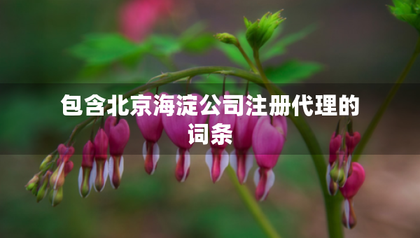 包含北京海淀公司注冊代理的詞條