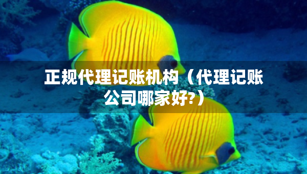 正規(guī)代理記賬機構（代理記賬公司哪家好?）