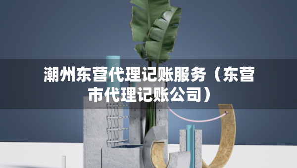 潮州東營代理記賬服務(wù)（東營市代理記賬公司）