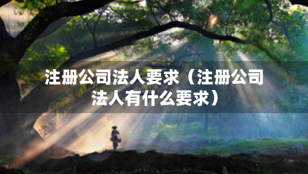 注冊公司法人要求（注冊公司法人有什么要求）