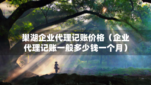 巢湖企業(yè)代理記賬價(jià)格（企業(yè)代理記賬一般多少錢一個(gè)月）