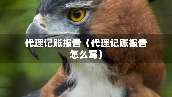 代理記賬報告（代理記賬報告怎么寫）