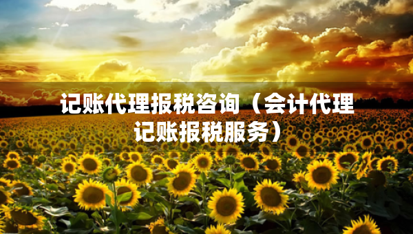 記賬代理報(bào)稅咨詢（會(huì)計(jì)代理記賬報(bào)稅服務(wù)）
