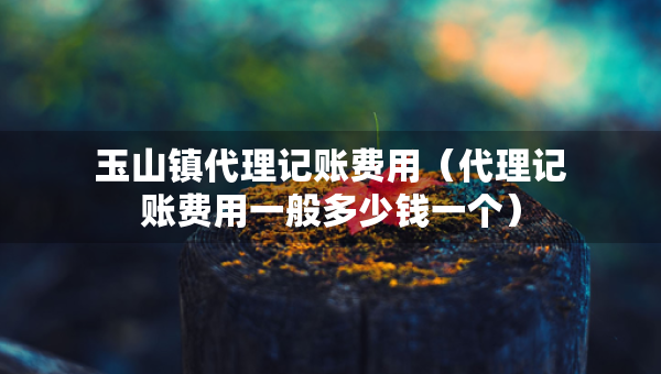 玉山鎮(zhèn)代理記賬費(fèi)用（代理記賬費(fèi)用一般多少錢一個(gè)）