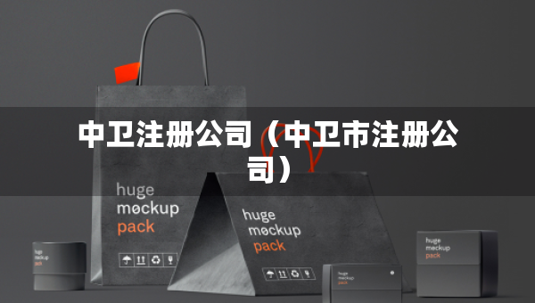 中衛(wèi)注冊(cè)公司（中衛(wèi)市注冊(cè)公司）