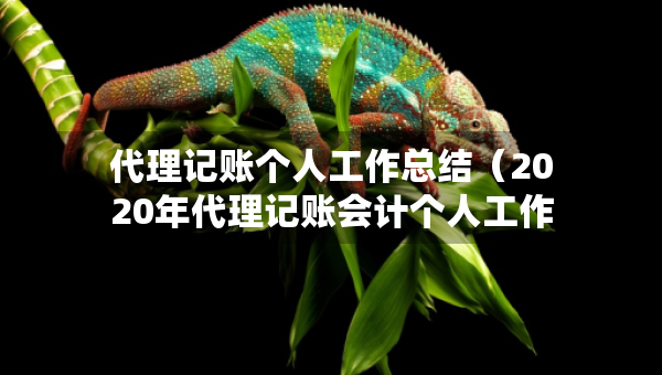 代理記賬個人工作總結(jié)（2020年代理記賬會計個人工作總結(jié)）