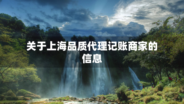 關(guān)于上海品質(zhì)代理記賬商家的信息