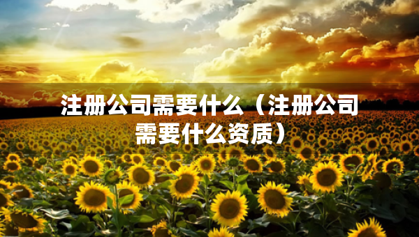 注冊公司需要什么（注冊公司需要什么資質(zhì)）