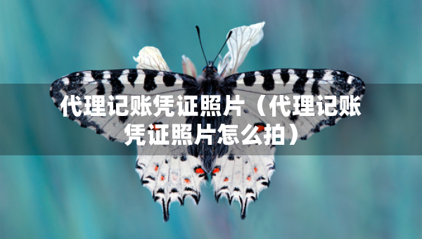 代理記賬憑證照片（代理記賬憑證照片怎么拍）