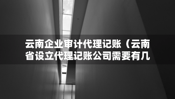 云南企業(yè)審計(jì)代理記賬（云南省設(shè)立代理記賬公司需要有幾個(gè)人）