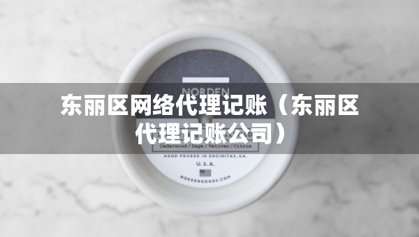 東麗區(qū)網(wǎng)絡(luò)代理記賬（東麗區(qū)代理記賬公司）