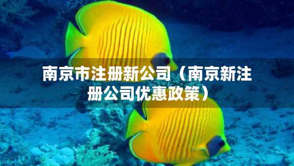 南京市注冊(cè)新公司（南京新注冊(cè)公司優(yōu)惠政策）