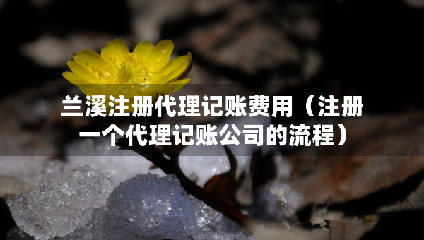 蘭溪注冊代理記賬費用（注冊一個代理記賬公司的流程）