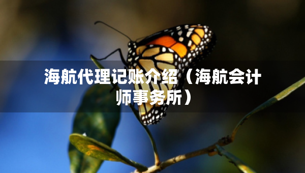 海航代理記賬介紹（海航會(huì)計(jì)師事務(wù)所）