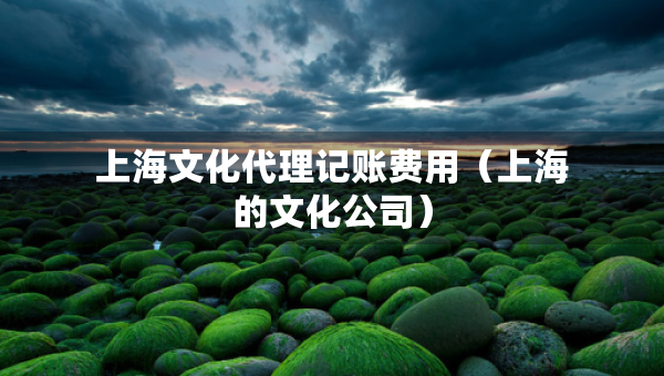 上海文化代理記賬費用（上海的文化公司）