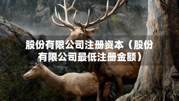 股份有限公司注冊(cè)資本（股份有限公司最低注冊(cè)金額）