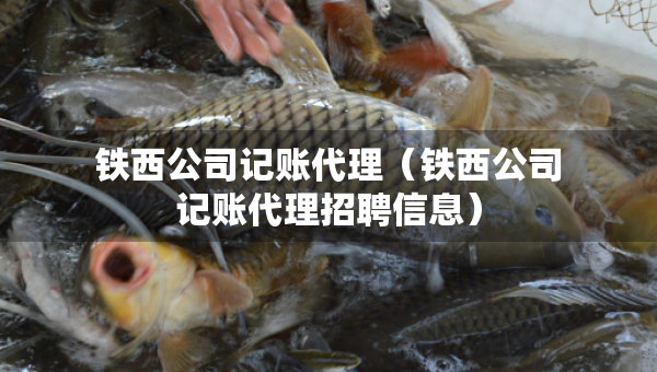 鐵西公司記賬代理（鐵西公司記賬代理招聘信息）