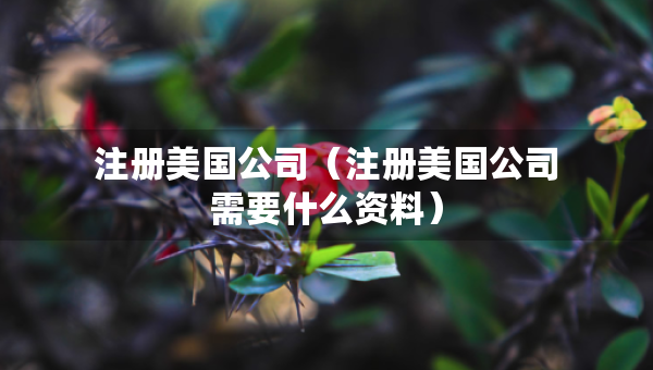 注冊美國公司（注冊美國公司需要什么資料）