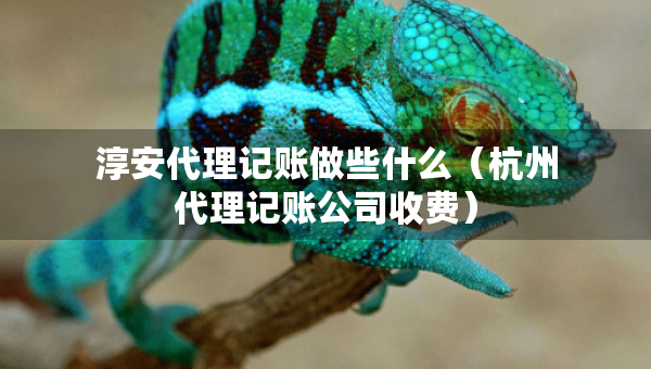 淳安代理記賬做些什么（杭州代理記賬公司收費(fèi)）