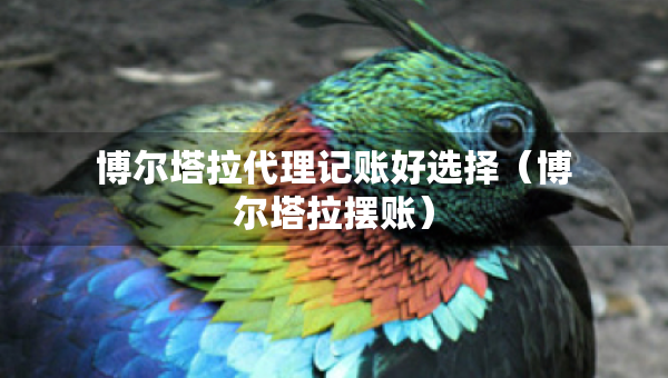 博爾塔拉代理記賬好選擇（博爾塔拉擺賬）
