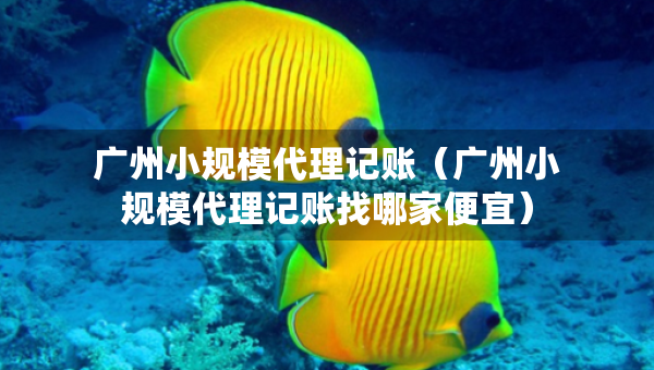 廣州小規(guī)模代理記賬（廣州小規(guī)模代理記賬找哪家便宜）