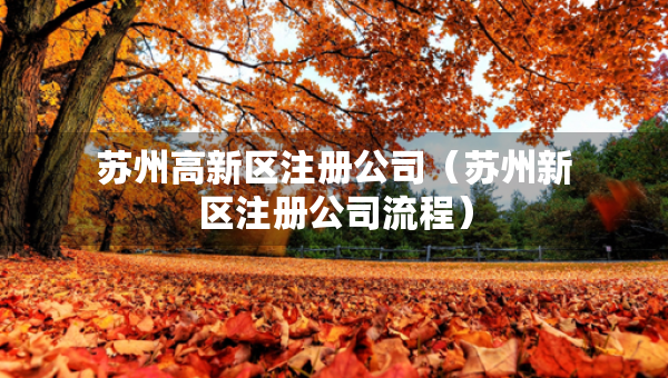 蘇州高新區(qū)注冊公司（蘇州新區(qū)注冊公司流程）