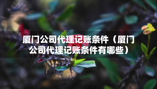 廈門公司代理記賬條件（廈門公司代理記賬條件有哪些）
