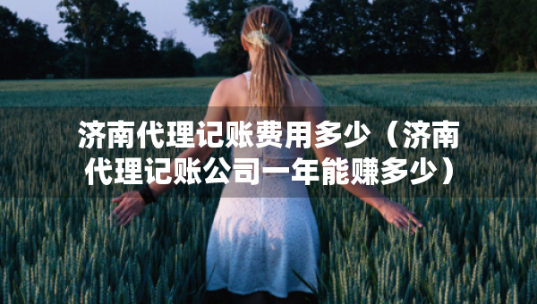 濟南代理記賬費用多少（濟南代理記賬公司一年能賺多少）