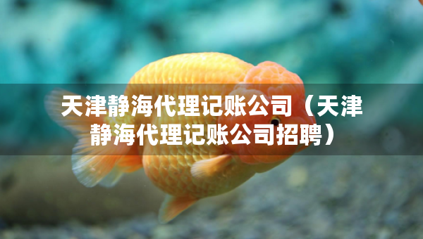 天津靜海代理記賬公司（天津靜海代理記賬公司招聘）