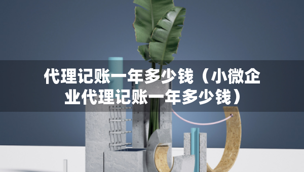 代理記賬一年多少錢（小微企業(yè)代理記賬一年多少錢）