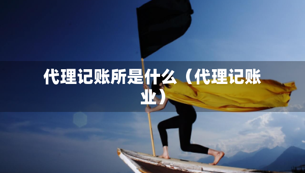 代理記賬所是什么（代理記賬業(yè)）