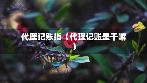 代理記賬指（代理記賬是干嘛）