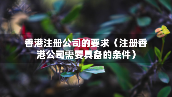 香港注冊(cè)公司的要求（注冊(cè)香港公司需要具備的條件）