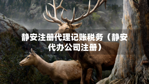 靜安注冊代理記賬稅務(wù)（靜安代辦公司注冊）