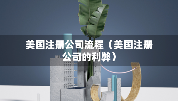 美國(guó)注冊(cè)公司流程（美國(guó)注冊(cè)公司的利弊）
