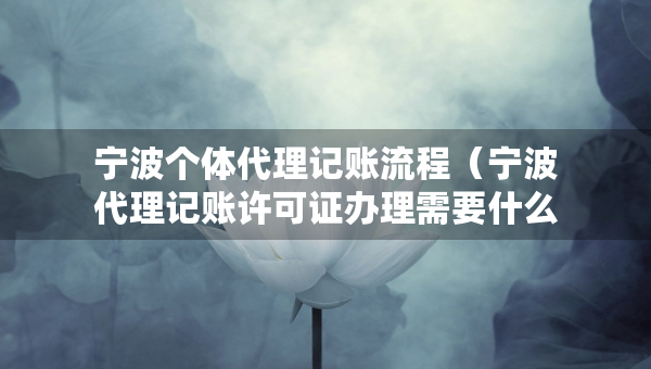 寧波個體代理記賬流程（寧波代理記賬許可證辦理需要什么條件）