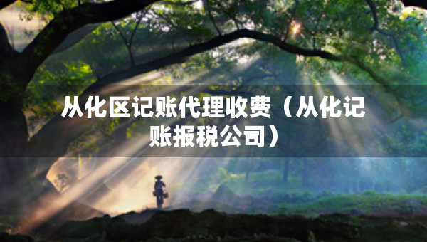 從化區(qū)記賬代理收費(fèi)（從化記賬報(bào)稅公司）