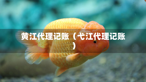 黃江代理記賬（弋江代理記賬）