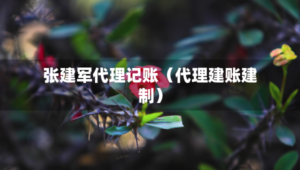 張建軍代理記賬（代理建賬建制）