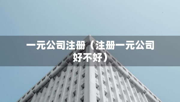 一元公司注冊(cè)（注冊(cè)一元公司好不好）