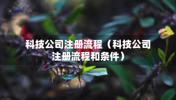 科技公司注冊流程（科技公司注冊流程和條件）