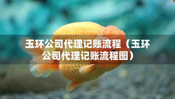 玉環(huán)公司代理記賬流程（玉環(huán)公司代理記賬流程圖）